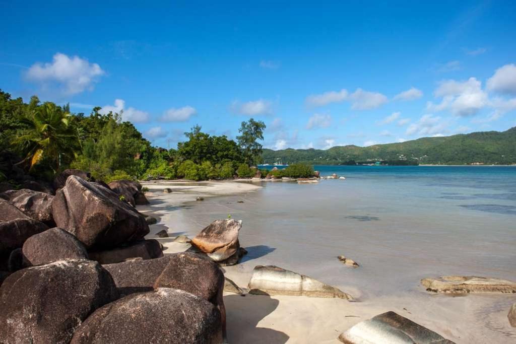 Le Vasseur La Buse Eco Resort Anse la blague Eksteriør billede